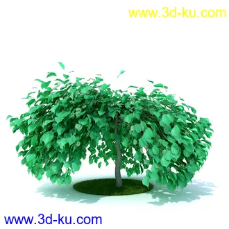 植物,喷泉,花园,椅子,小池子,长凳,篱笆,小木桥等模型合集的图片9