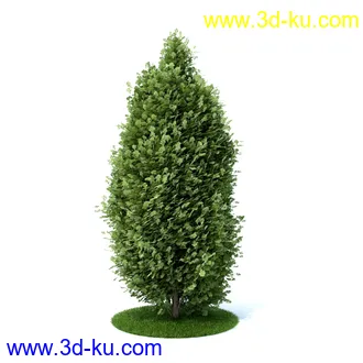 植物,喷泉,花园,椅子,小池子,长凳,篱笆,小木桥等模型合集的图片15
