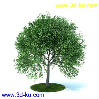 植物,喷泉,花园,椅子,小池子,长凳,篱笆,小木桥等模型合集的图片18