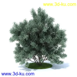 植物,喷泉,花园,椅子,小池子,长凳,篱笆,小木桥等模型合集的图片20