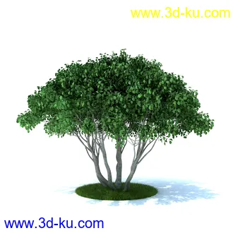 植物,喷泉,花园,椅子,小池子,长凳,篱笆,小木桥等模型合集的图片21