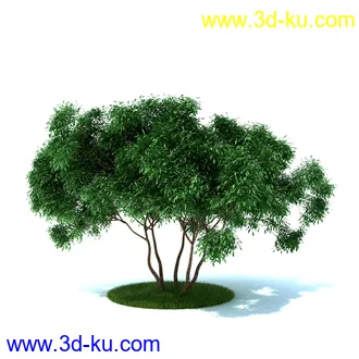植物,喷泉,花园,椅子,小池子,长凳,篱笆,小木桥等模型合集的图片23