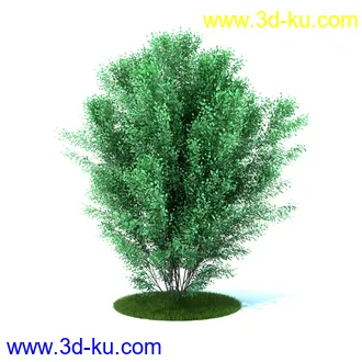 植物,喷泉,花园,椅子,小池子,长凳,篱笆,小木桥等模型合集的图片27