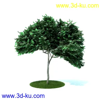 植物,喷泉,花园,椅子,小池子,长凳,篱笆,小木桥等模型合集的图片29