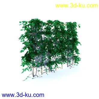 植物,喷泉,花园,椅子,小池子,长凳,篱笆,小木桥等模型合集的图片45