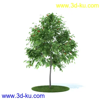 植物,喷泉,花园,椅子,小池子,长凳,篱笆,小木桥等模型合集的图片59