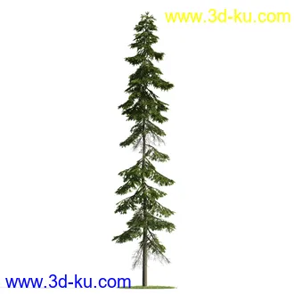 植物模型,树木模型合集的图片