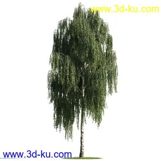 植物模型,树木模型合集的图片