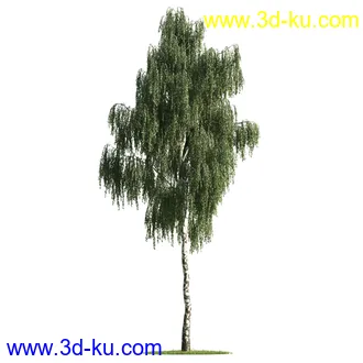 植物模型,树木模型合集的图片