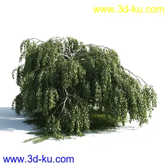 植物模型,树木模型合集的图片