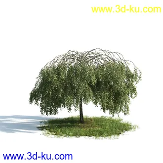 植物模型,树木模型合集的图片