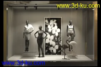 商品展览柜,橱窗,展台,商店等模型合集的图片