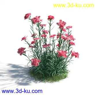 植物模型,草本植物,草丛,蒲公英,野花,野草等模型合集的图片