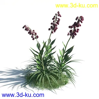 植物模型,草本植物,草丛,蒲公英,野花,野草等模型合集的图片