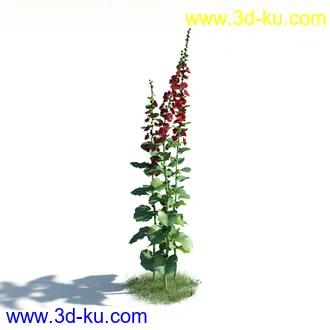 植物模型,草本植物,草丛,蒲公英,野花,野草等模型合集的图片