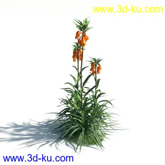 植物模型,草本植物,草丛,蒲公英,野花,野草等模型合集的图片