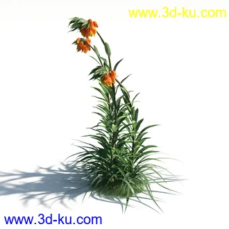 植物模型,草本植物,草丛,蒲公英,野花,野草等模型合集的图片