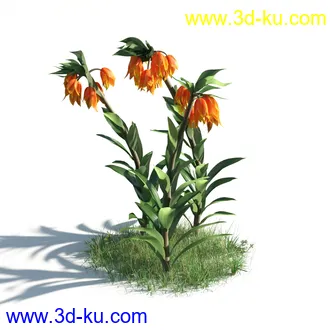 植物模型,草本植物,草丛,蒲公英,野花,野草等模型合集的图片