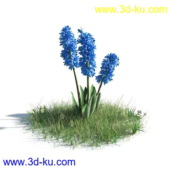 植物模型,草本植物,草丛,蒲公英,野花,野草等模型合集的图片