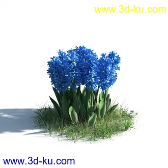 植物模型,草本植物,草丛,蒲公英,野花,野草等模型合集的图片