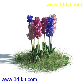 植物模型,草本植物,草丛,蒲公英,野花,野草等模型合集的图片