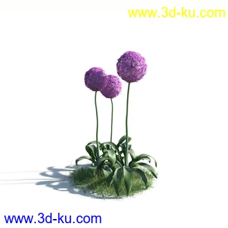 植物模型,草本植物,草丛,蒲公英,野花,野草等模型合集的图片