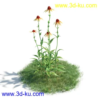 植物模型,草本植物,草丛,蒲公英,野花,野草等模型合集的图片