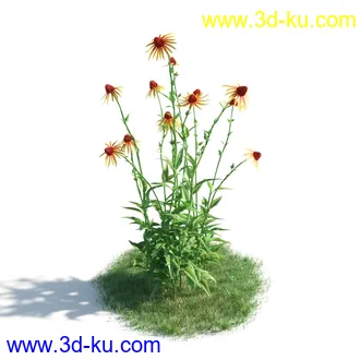 植物模型,草本植物,草丛,蒲公英,野花,野草等模型合集的图片