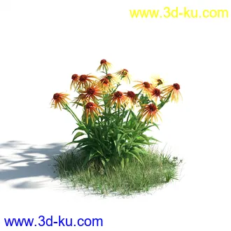 植物模型,草本植物,草丛,蒲公英,野花,野草等模型合集的图片
