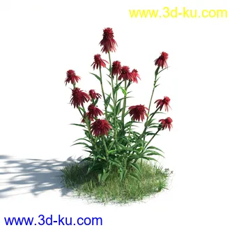 植物模型,草本植物,草丛,蒲公英,野花,野草等模型合集的图片
