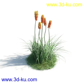 植物模型,草本植物,草丛,蒲公英,野花,野草等模型合集的图片