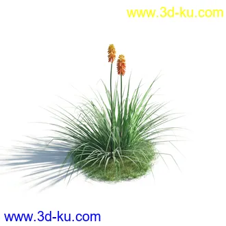 植物模型,草本植物,草丛,蒲公英,野花,野草等模型合集的图片