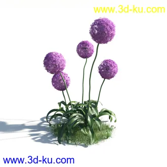 植物模型,草本植物,草丛,蒲公英,野花,野草等模型合集的图片