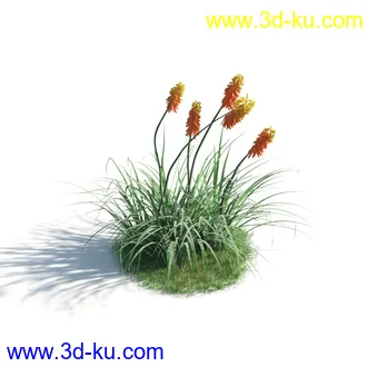 植物模型,草本植物,草丛,蒲公英,野花,野草等模型合集的图片