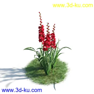 植物模型,草本植物,草丛,蒲公英,野花,野草等模型合集的图片