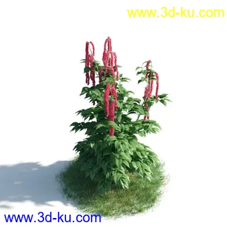 植物模型,草本植物,草丛,蒲公英,野花,野草等模型合集的图片