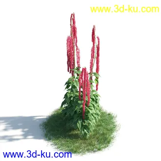 植物模型,草本植物,草丛,蒲公英,野花,野草等模型合集的图片