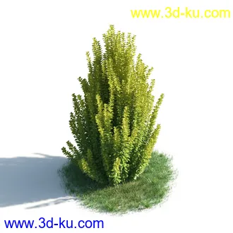 植物模型,草本植物,草丛,蒲公英,野花,野草等模型合集的图片37