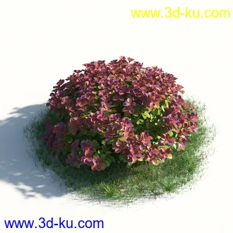 植物模型,草本植物,草丛,蒲公英,野花,野草等模型合集的图片39