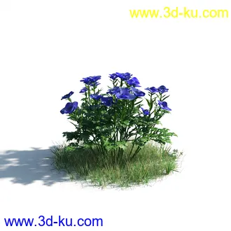 植物模型,草本植物,草丛,蒲公英,野花,野草等模型合集的图片40