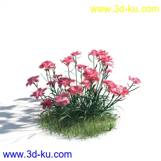 植物模型,草本植物,草丛,蒲公英,野花,野草等模型合集的图片46