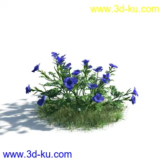 植物模型,草本植物,草丛,蒲公英,野花,野草等模型合集的图片47