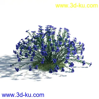 植物模型,草本植物,草丛,蒲公英,野花,野草等模型合集的图片48