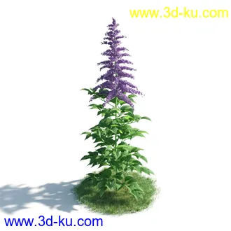 植物模型,草本植物,草丛,蒲公英,野花,野草等模型合集的图片49