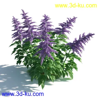 植物模型,草本植物,草丛,蒲公英,野花,野草等模型合集的图片50
