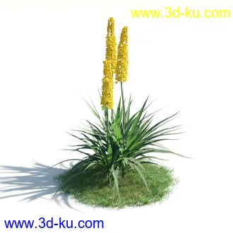 植物模型,草本植物,草丛,蒲公英,野花,野草等模型合集的图片51
