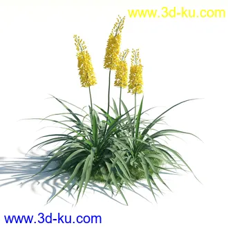 植物模型,草本植物,草丛,蒲公英,野花,野草等模型合集的图片52