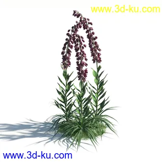 植物模型,草本植物,草丛,蒲公英,野花,野草等模型合集的图片54