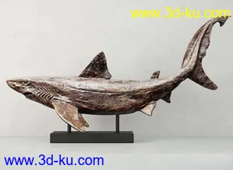 鲨鱼浮雕模型,鲨鱼石像模型,fbx,max的图片