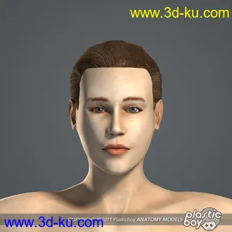 人体器官模型,男女人物解剖模型,人类肌肉骨骼神经内脏模型,maya,max,c4d的图片4